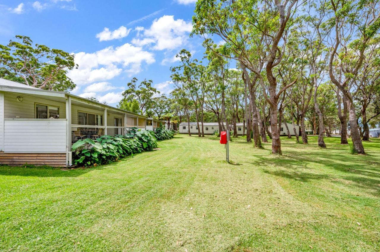 Koala Shores Holiday Park Lemon Tree Passage Extérieur photo